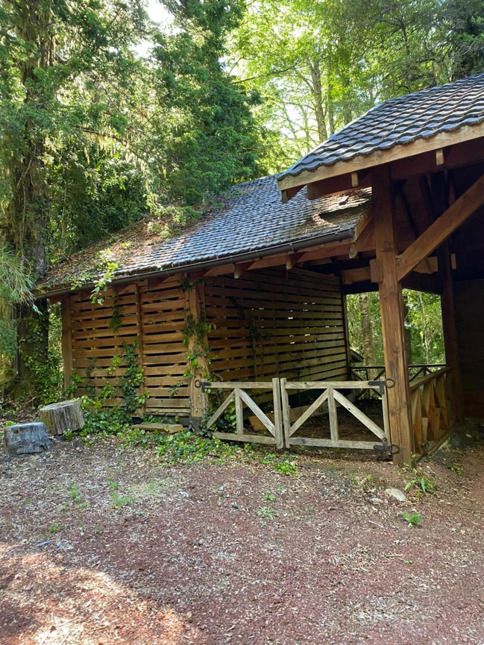 Cabaña del Leñador Los Renovales Huilo Huilo