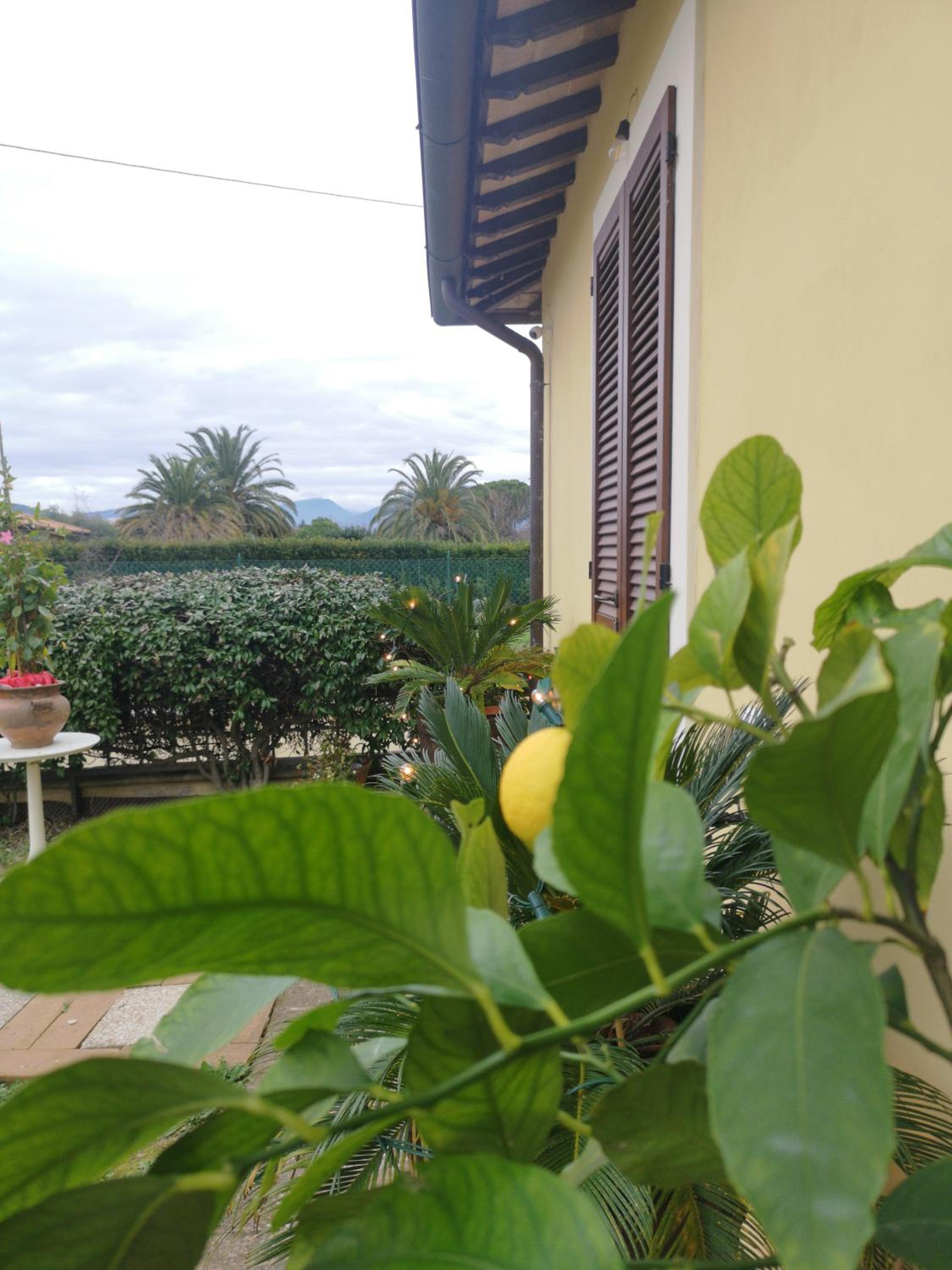 Il Gelsomino view 4