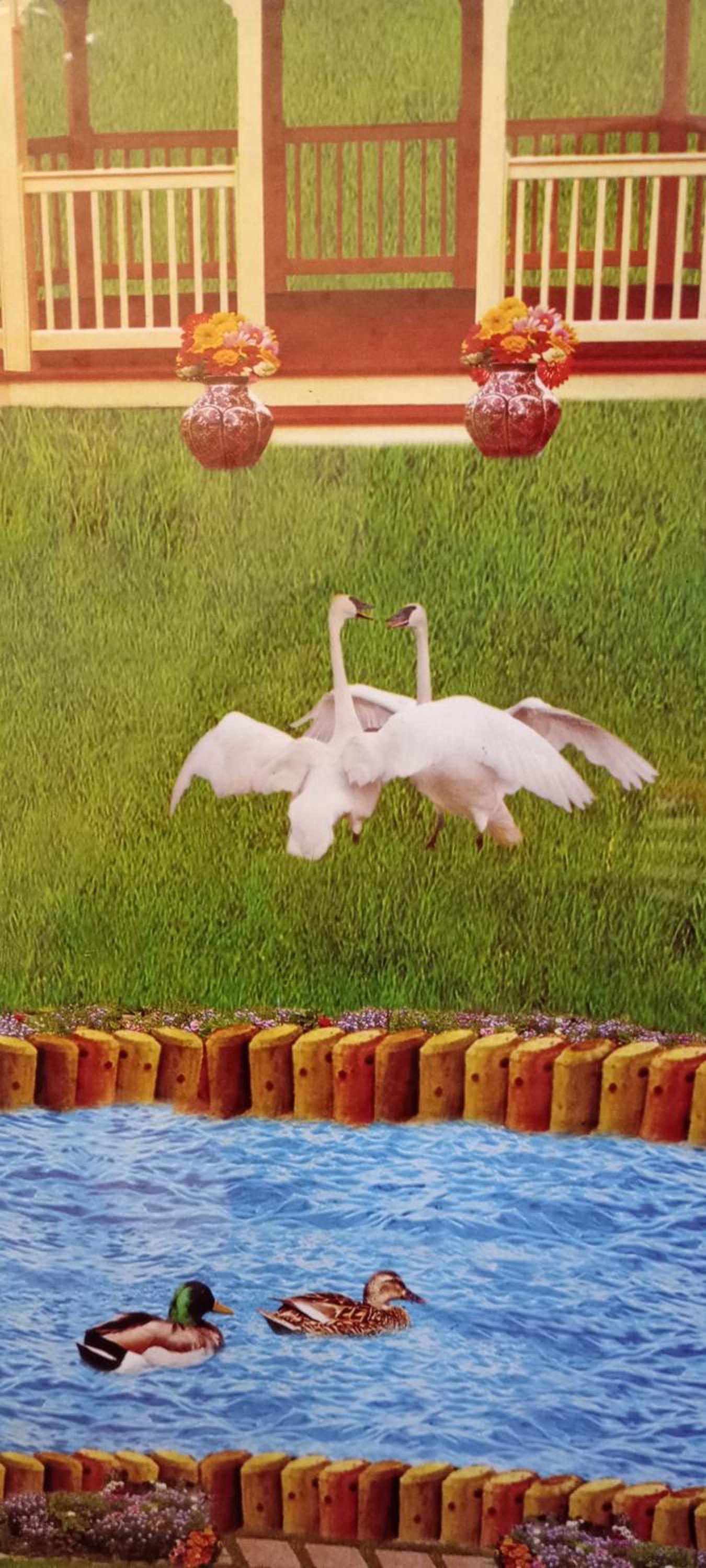 Swan Nest
