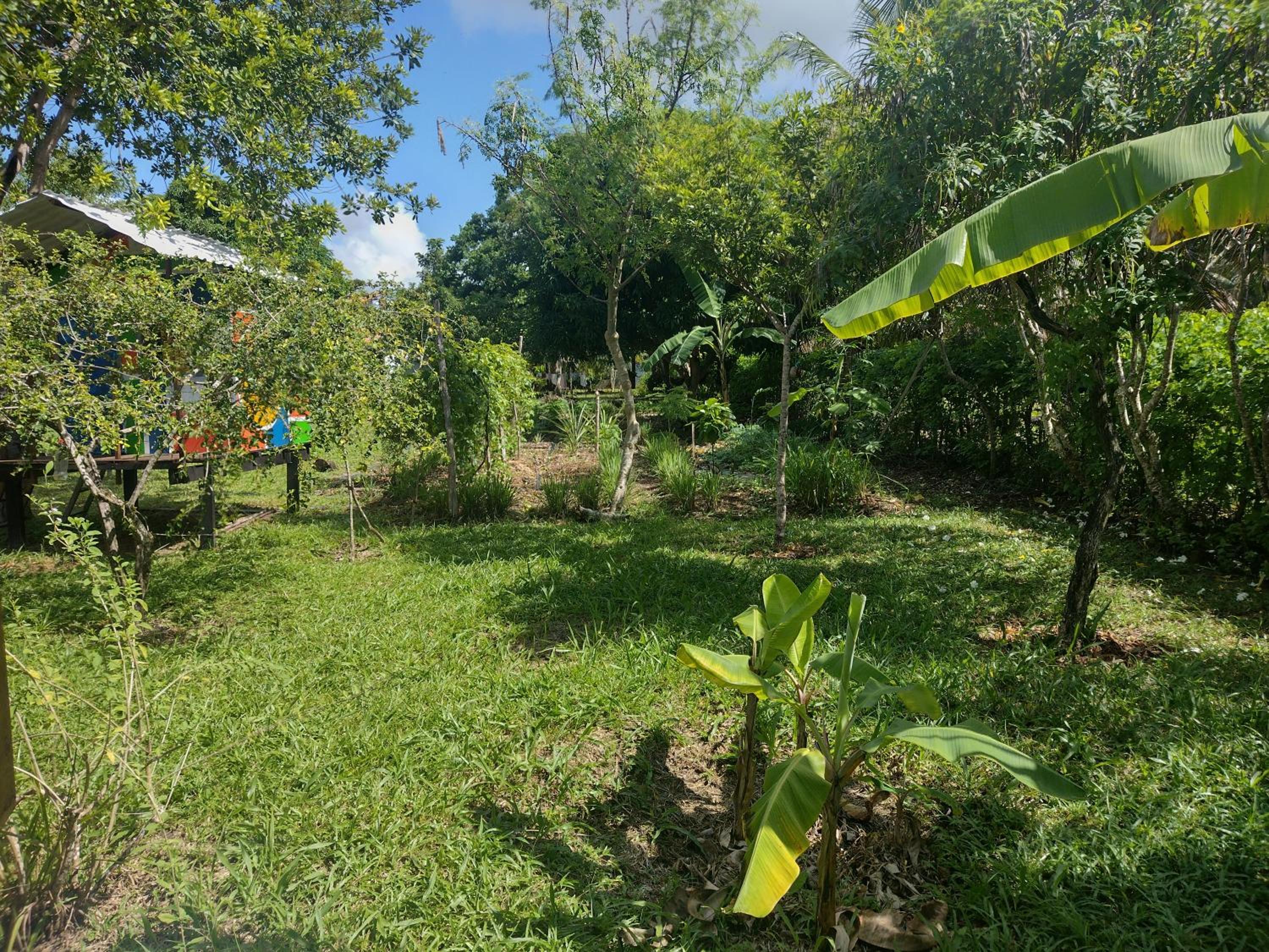 Casa de campo, perto da praia