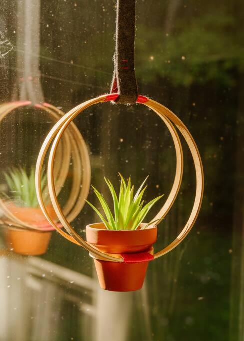 Huntsville Vacations - Dog friendly Muskoka. Fun from forest to river. - Property Image 3