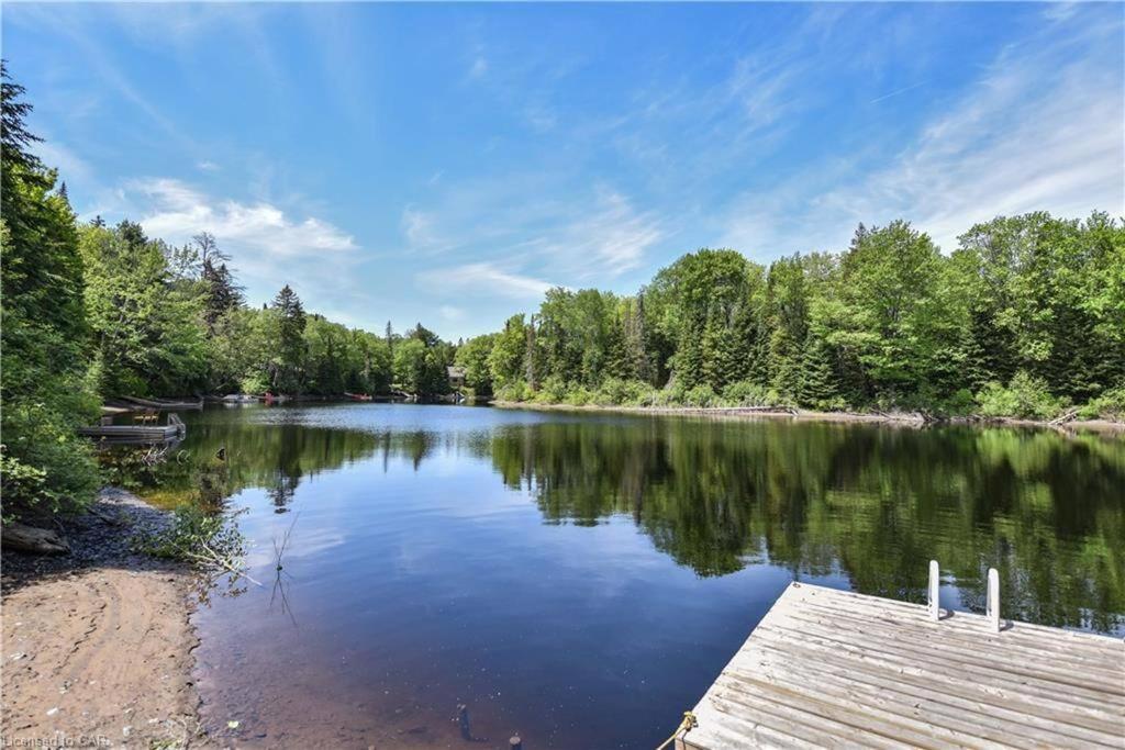 Dog friendly Muskoka. Fun from forest to river.