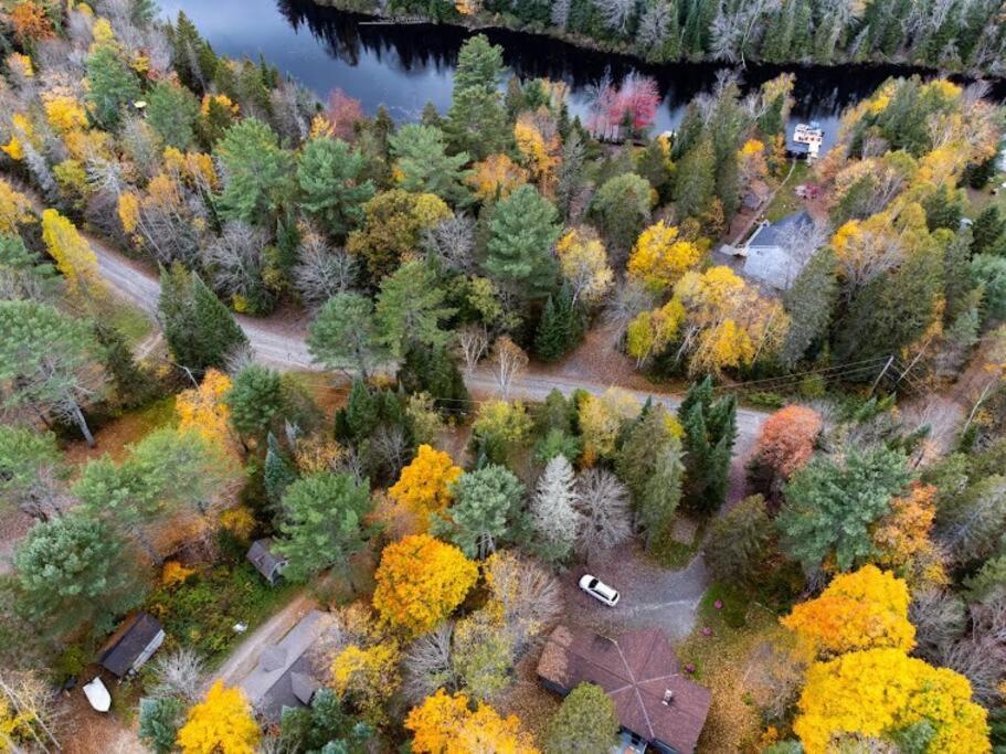 Dog friendly Muskoka. Fun from forest to river.