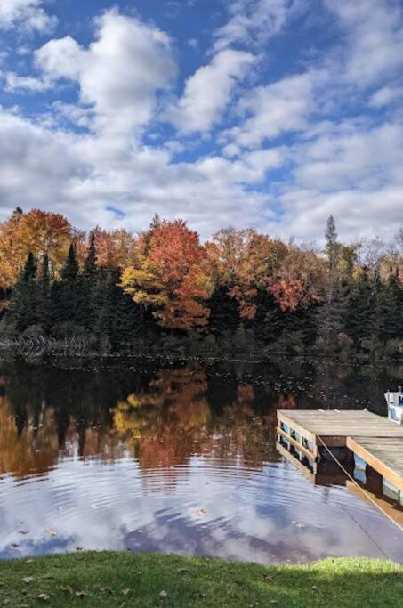 Huntsville Vacations - Dog friendly Muskoka. Fun from forest to river. - Property Image 4