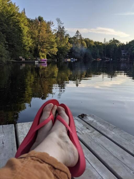 Dog friendly Muskoka. Fun from forest to river.