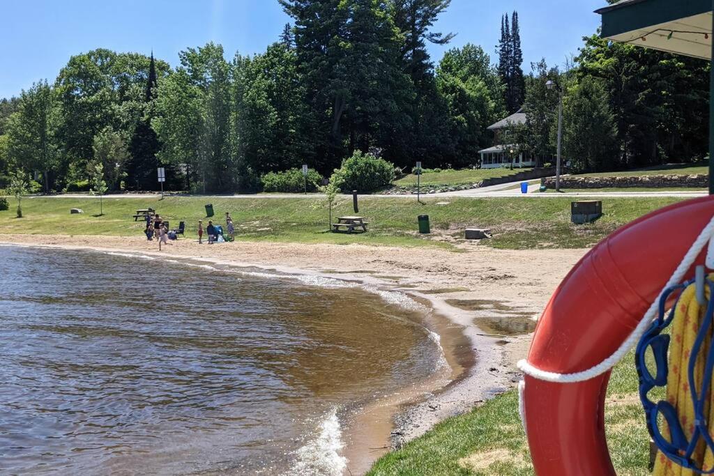 Dog friendly Muskoka. Fun from forest to river.