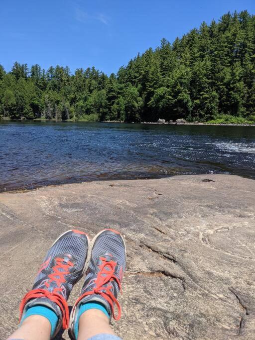 Dog friendly Muskoka. Fun from forest to river.