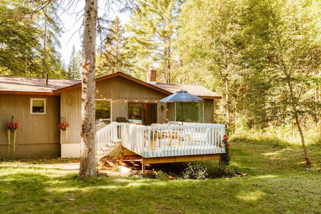 Dog friendly Muskoka. Fun from forest to river.