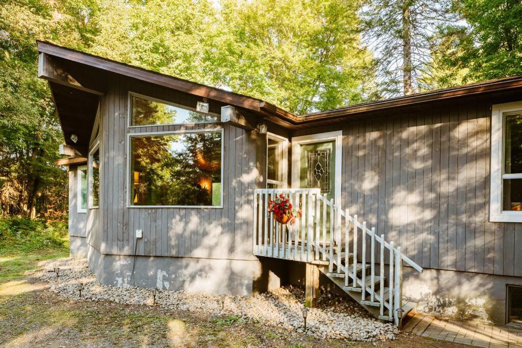 Dog friendly Muskoka. Fun from forest to river.