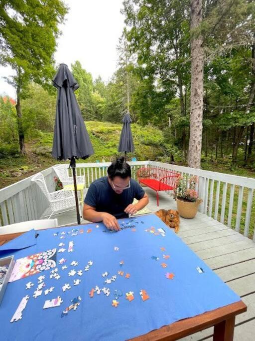 Dog friendly Muskoka. Fun from forest to river.