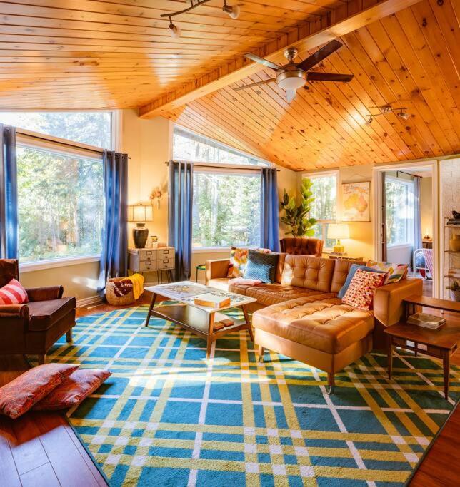 Dog friendly Muskoka. Fun from forest to river.
