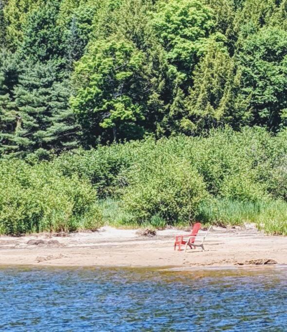 Dog friendly Muskoka. Fun from forest to river.