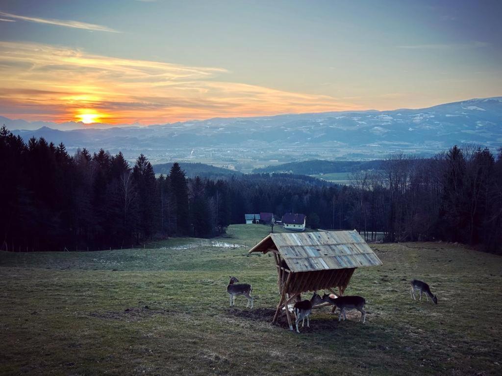Ferienhütte Simon Gregor