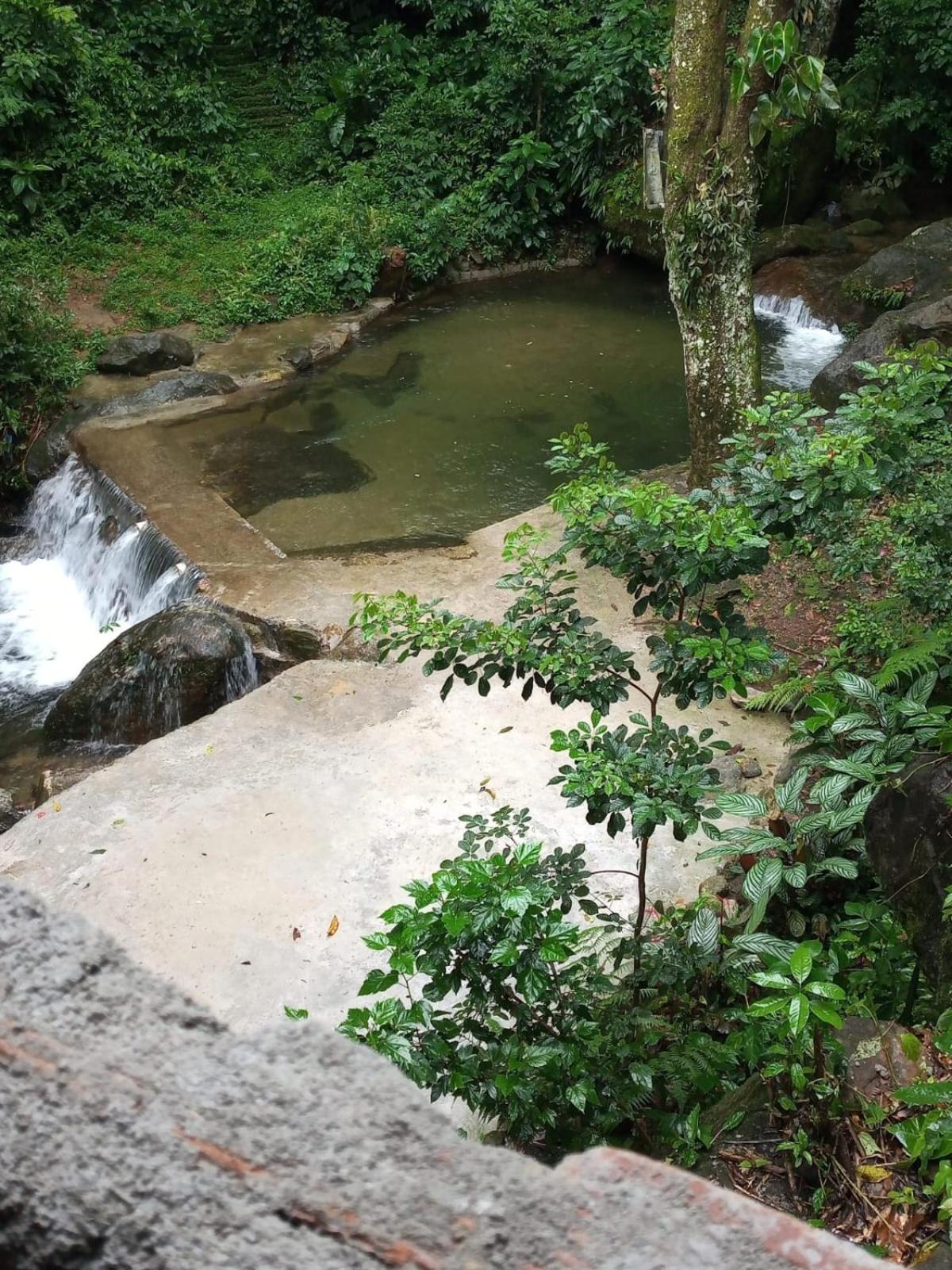Carvalho de Muriqui