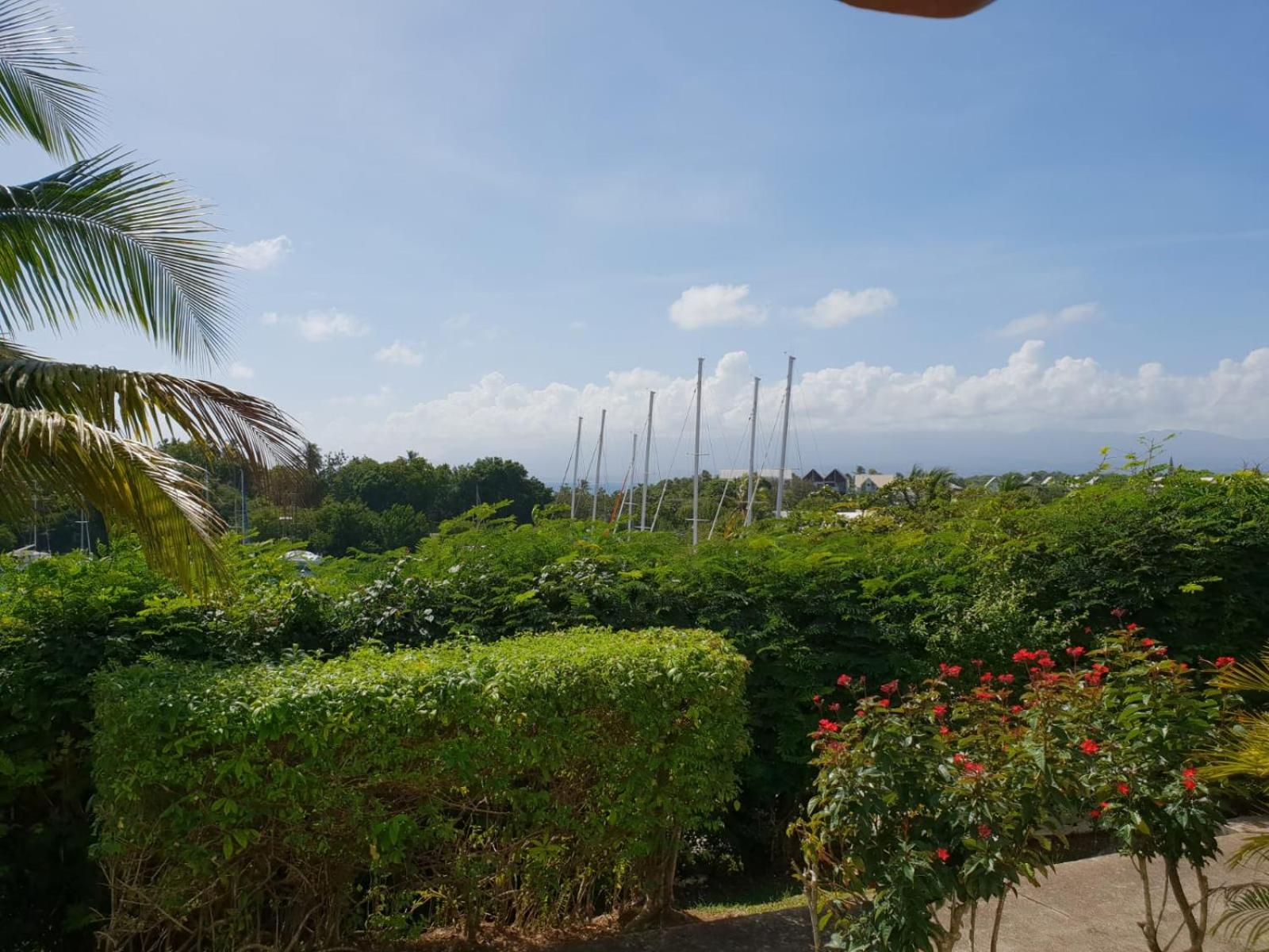 RAVISSANT Studio MARINA GOSIER