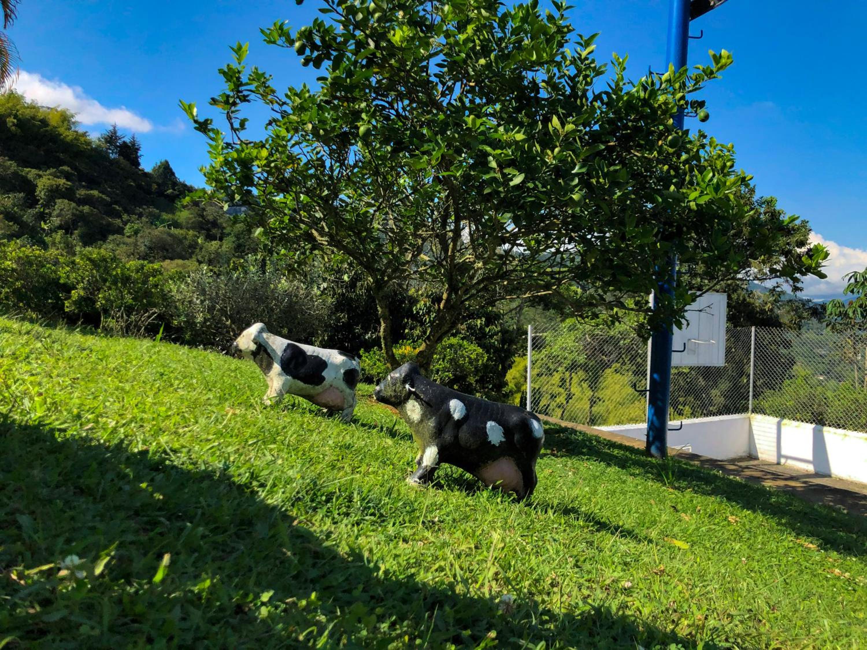 Gaia 4 Elemento