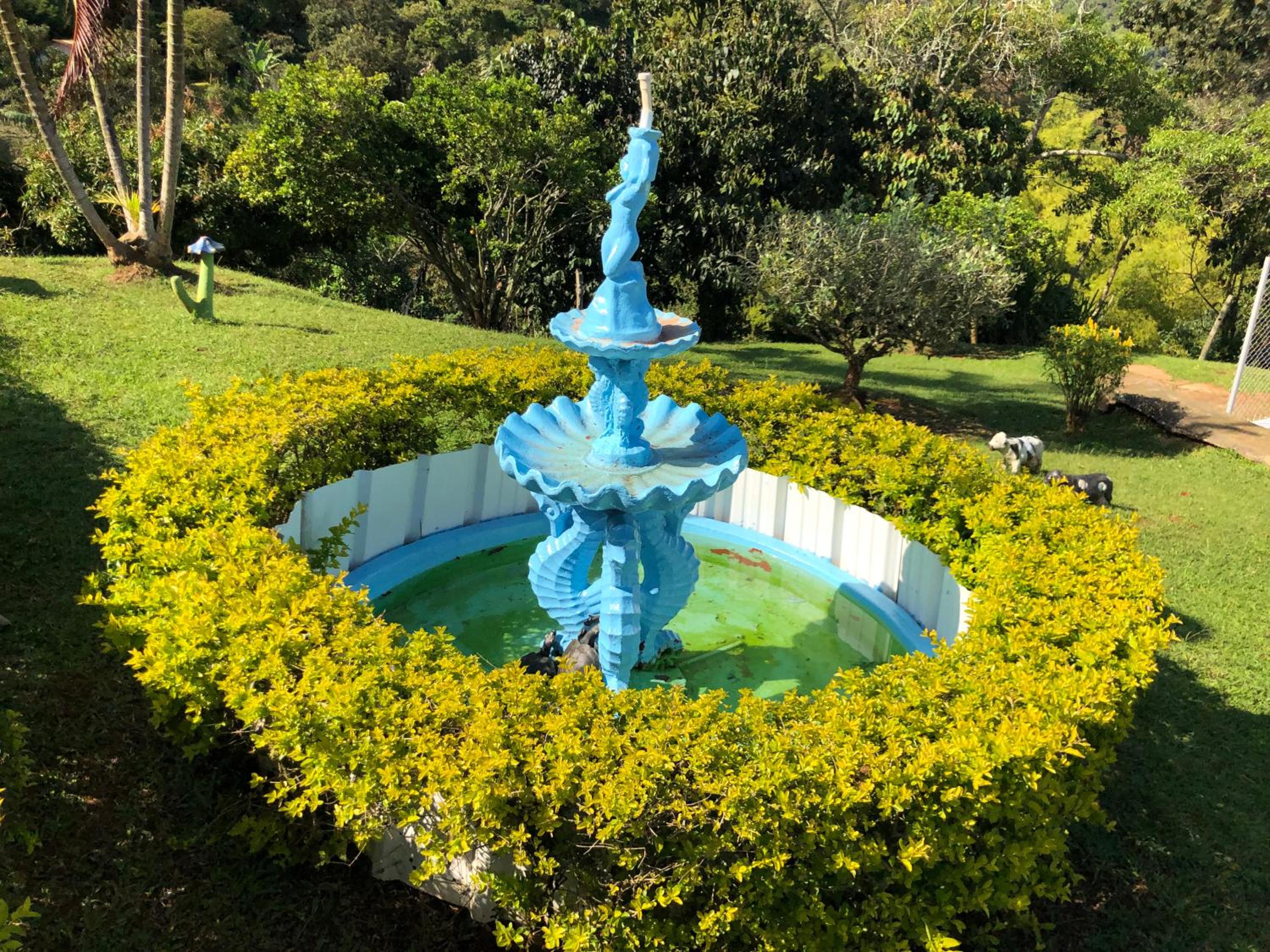 Gaia 4 Elemento