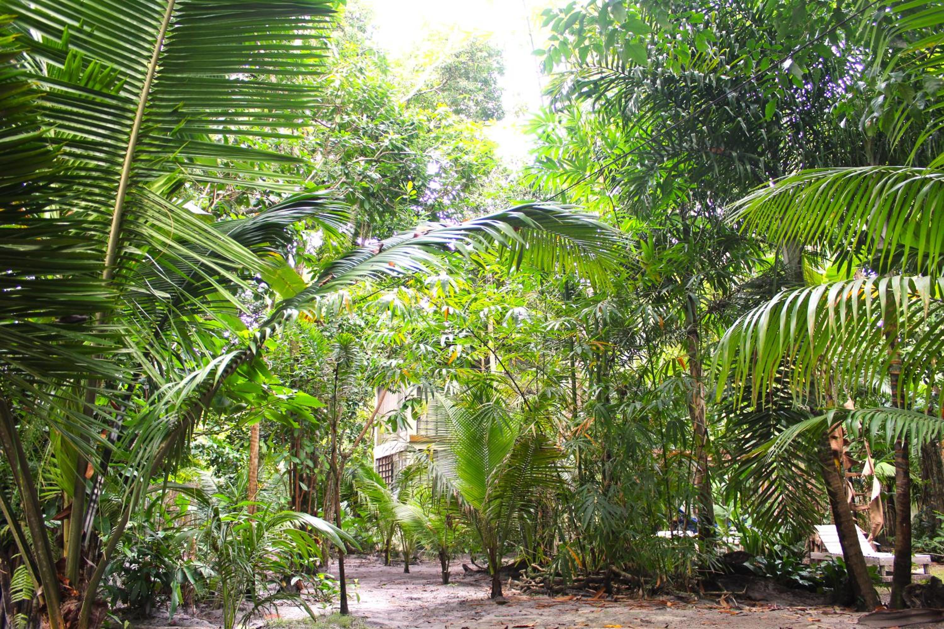 REFUGIO DO SAGRADO MORERE Tropical Lodge - A Casa do Vigía
