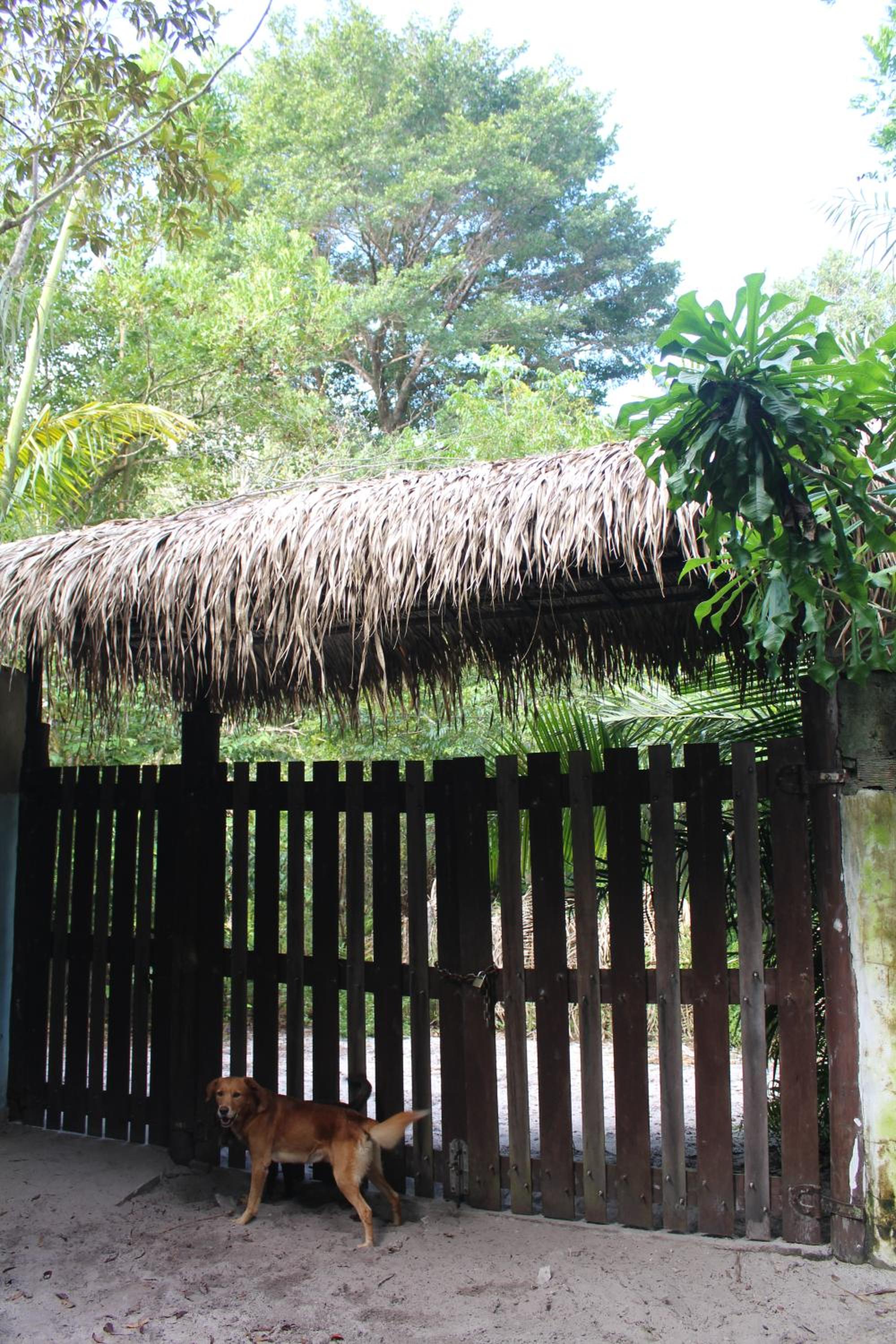 REFUGIO DO SAGRADO MORERE Tropical Lodge - A Casa do Vigía