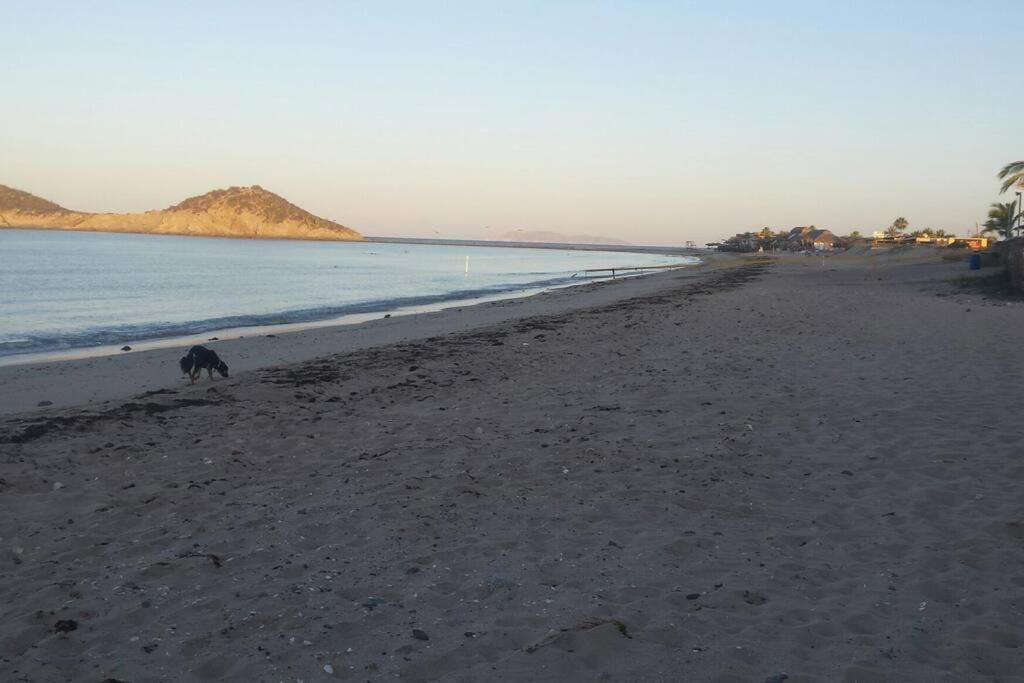 Lot # 7 ~ Large, Energetic Baja House view 5