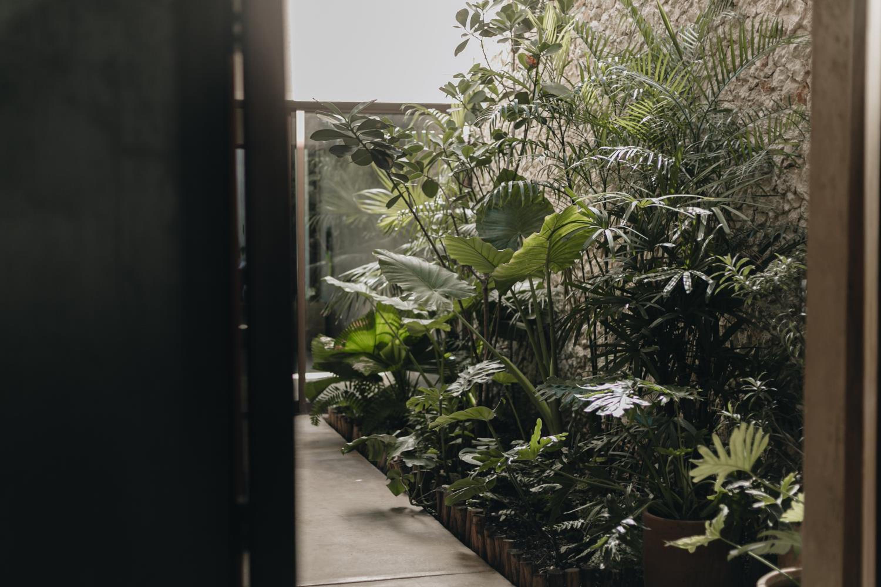 Casa Nah view 4