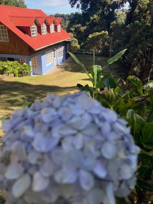La Cabaña: Descanso y Naturaleza