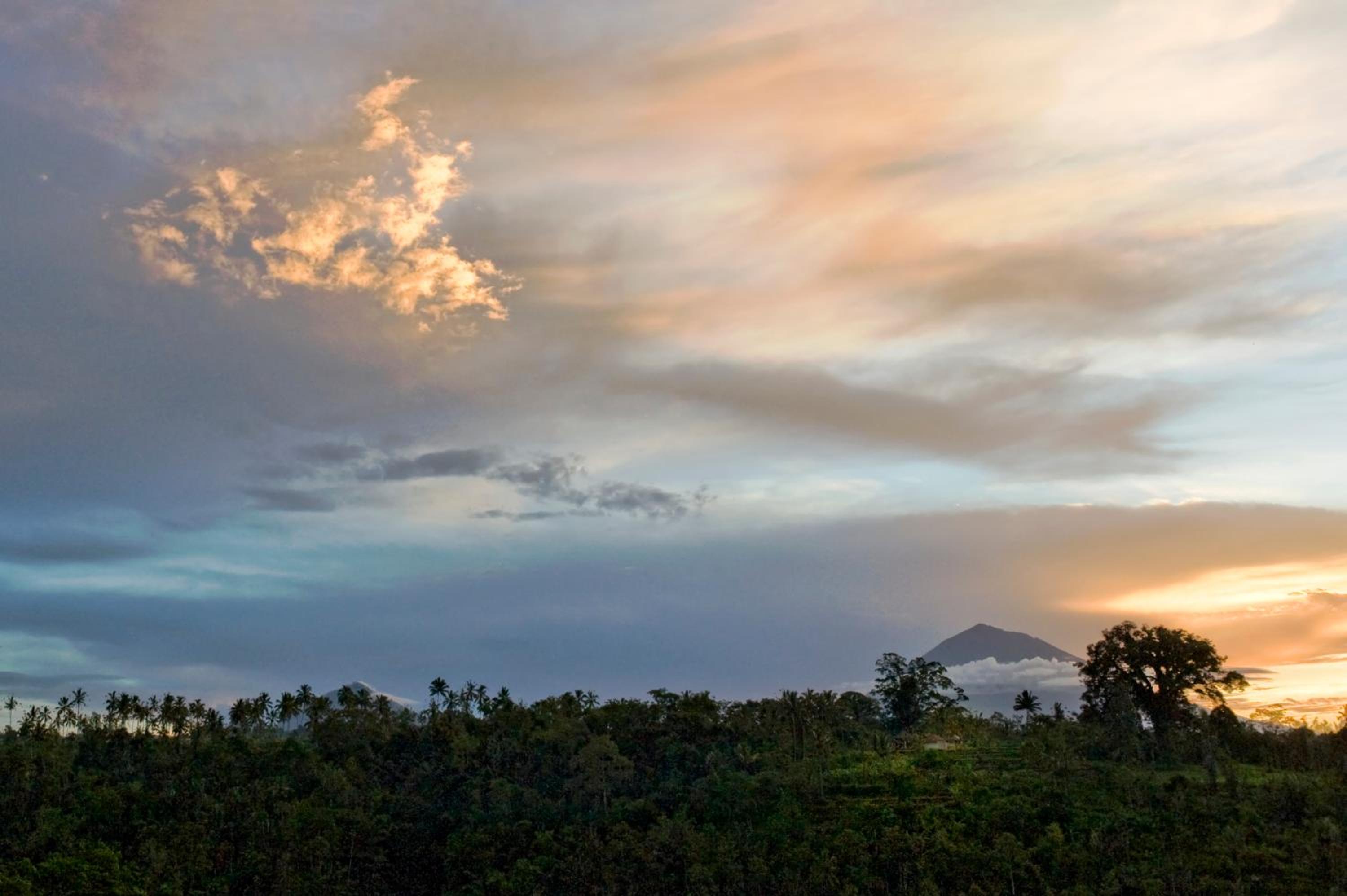 Awan Putih Resort Ubud view 3