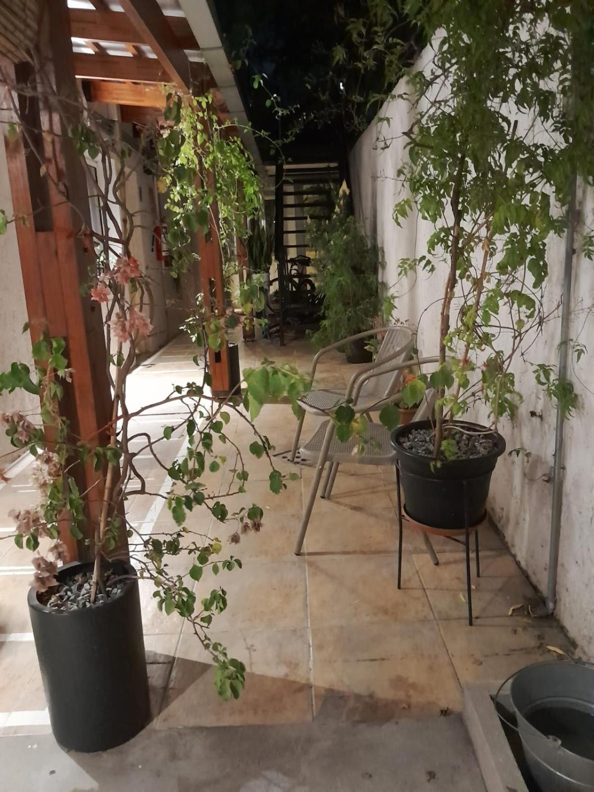 Photo 42