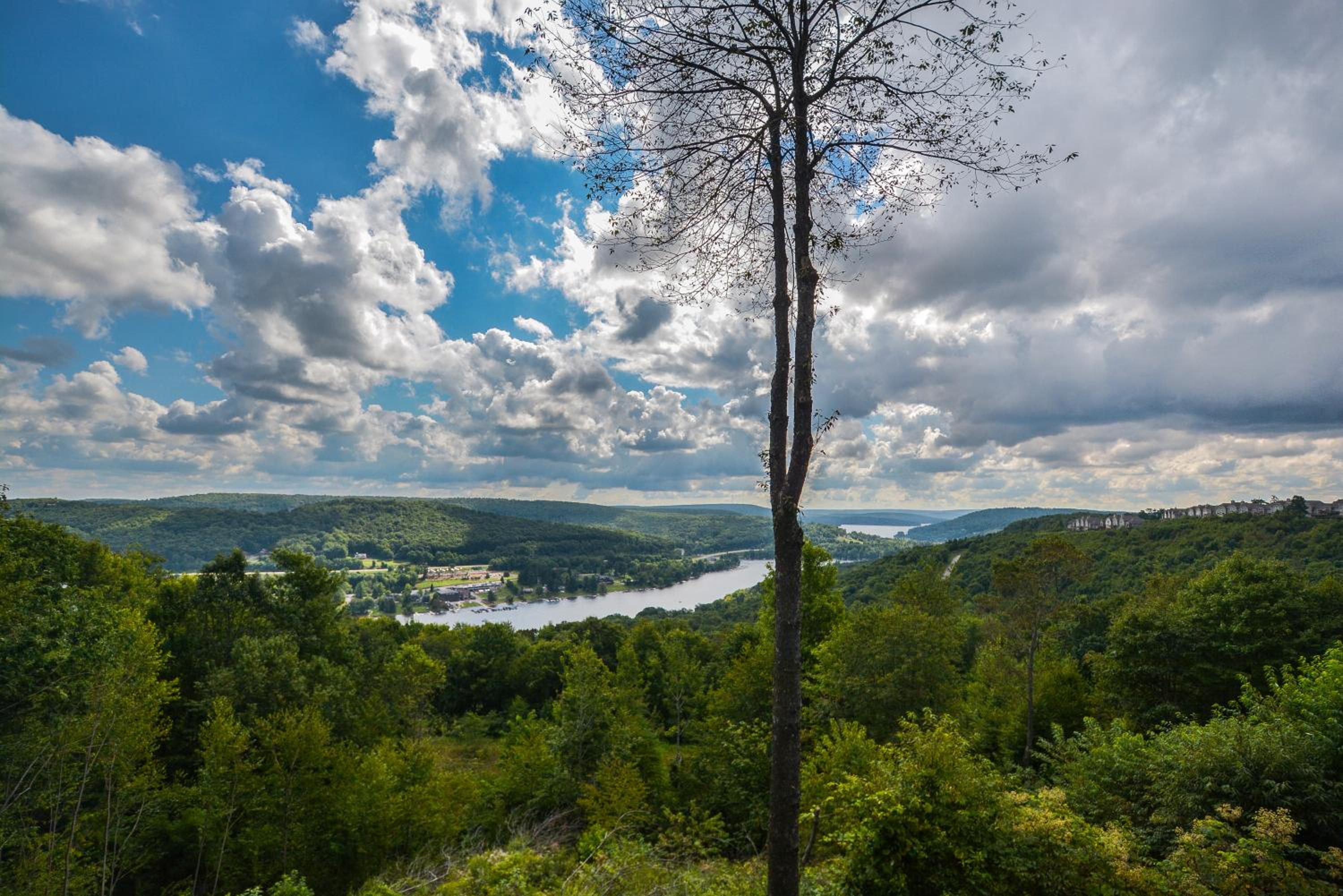 Braeside view 3