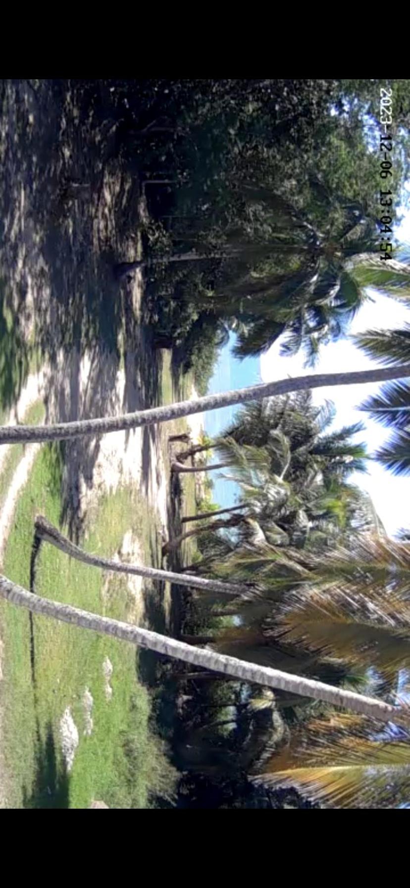 Playa Alejandra
