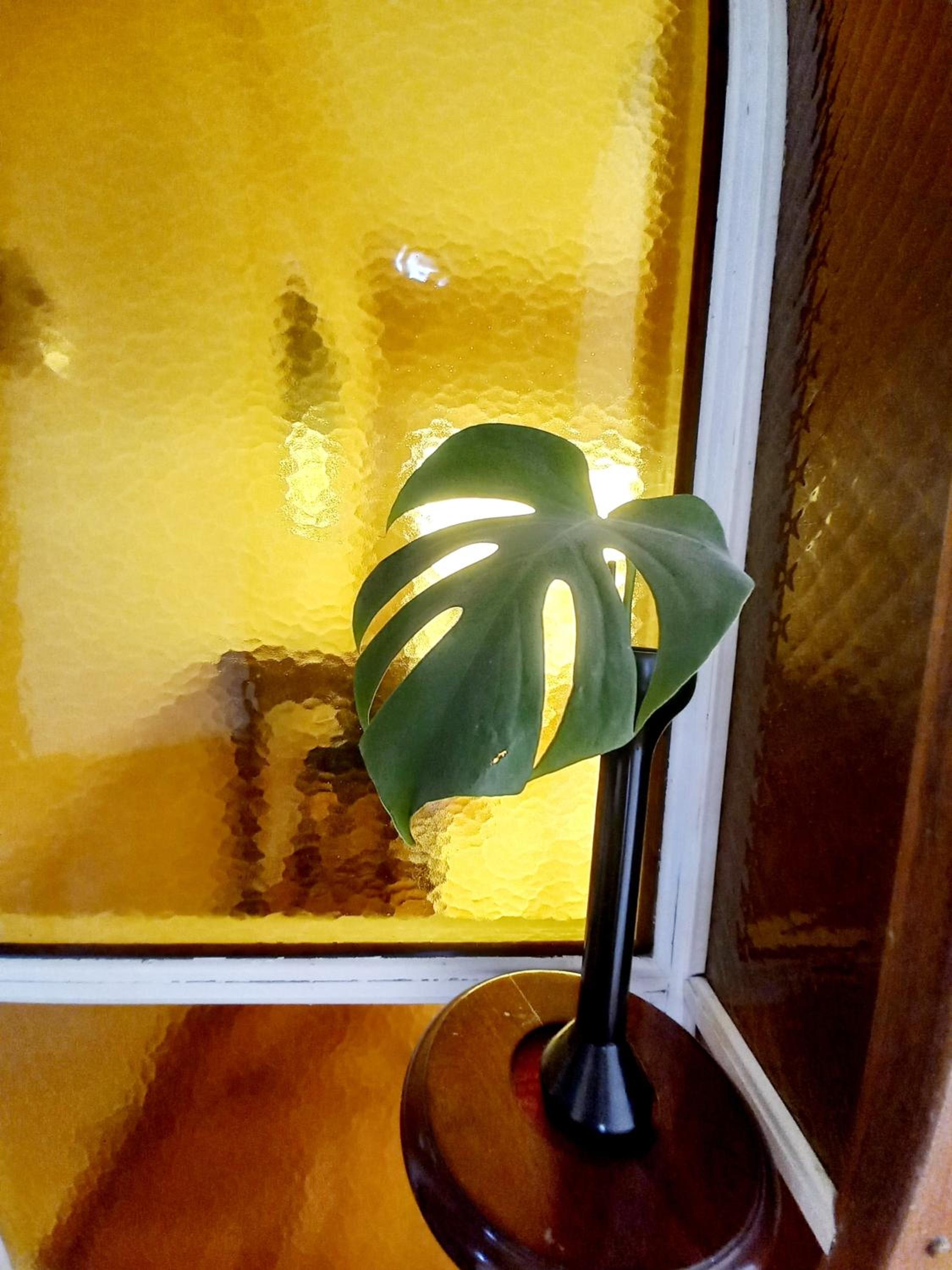 other