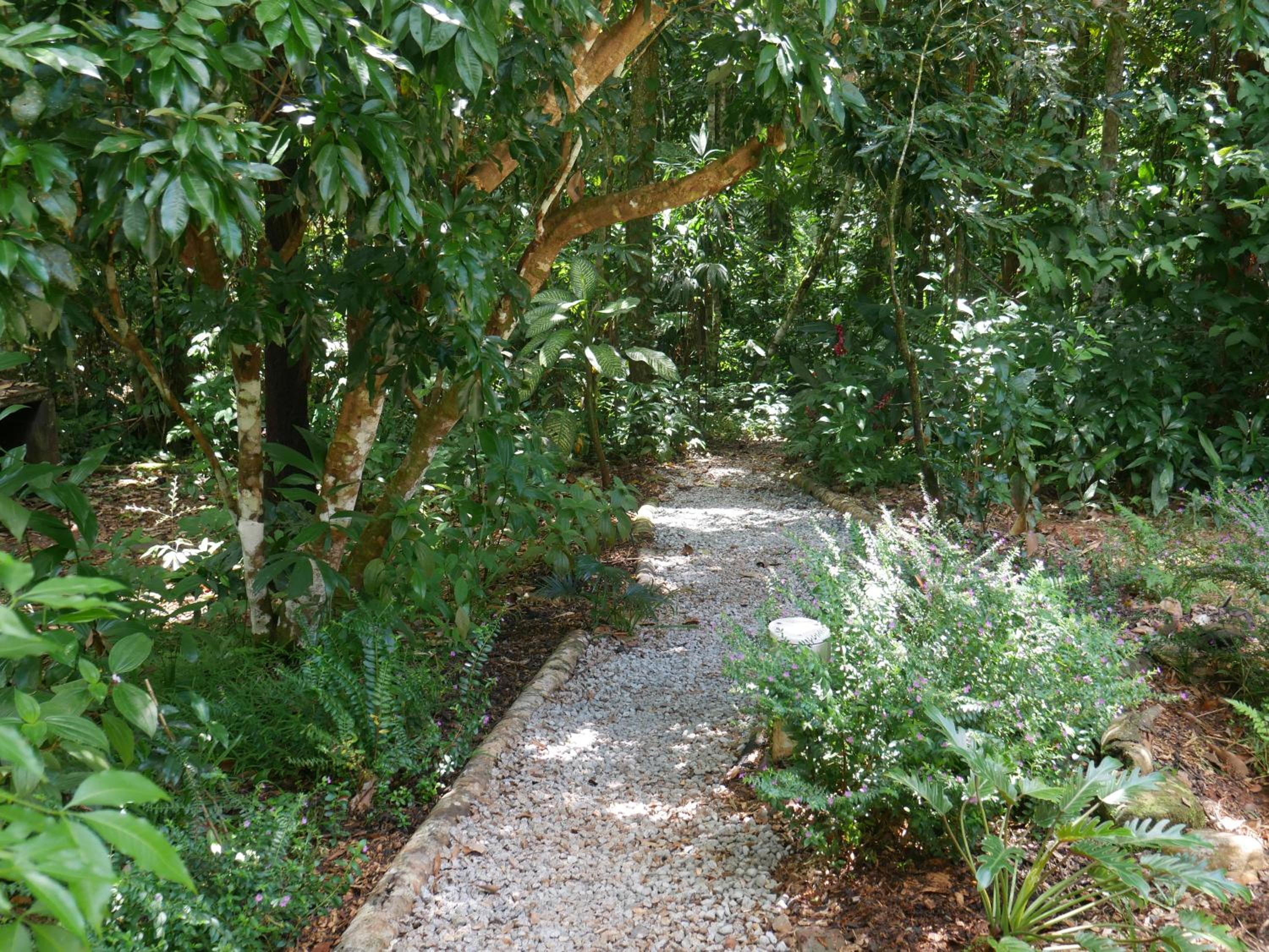 Fairy Falls - romantic Daintree Rainforest retreat with enchanting waterfall