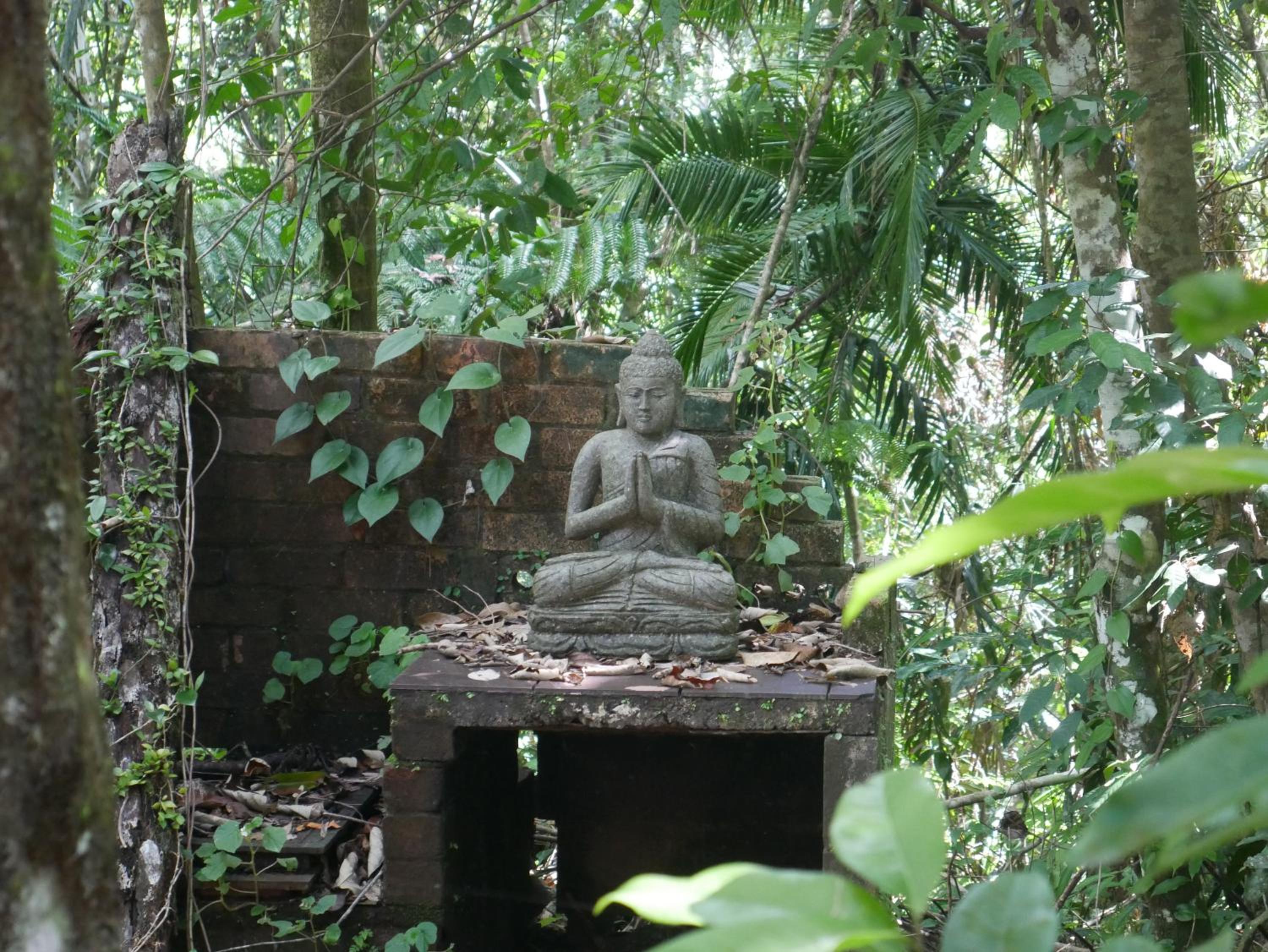 Fairy Falls - romantic Daintree Rainforest retreat with enchanting waterfall
