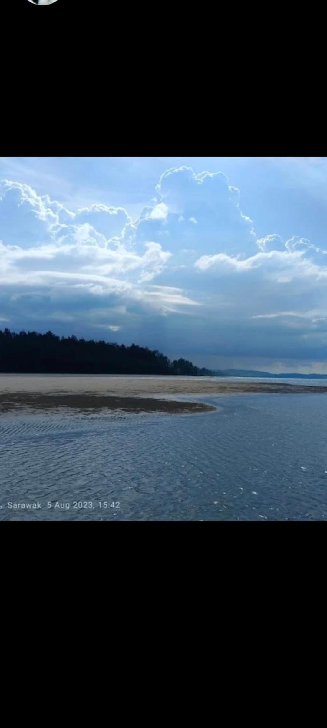 The Mangrove photo 4