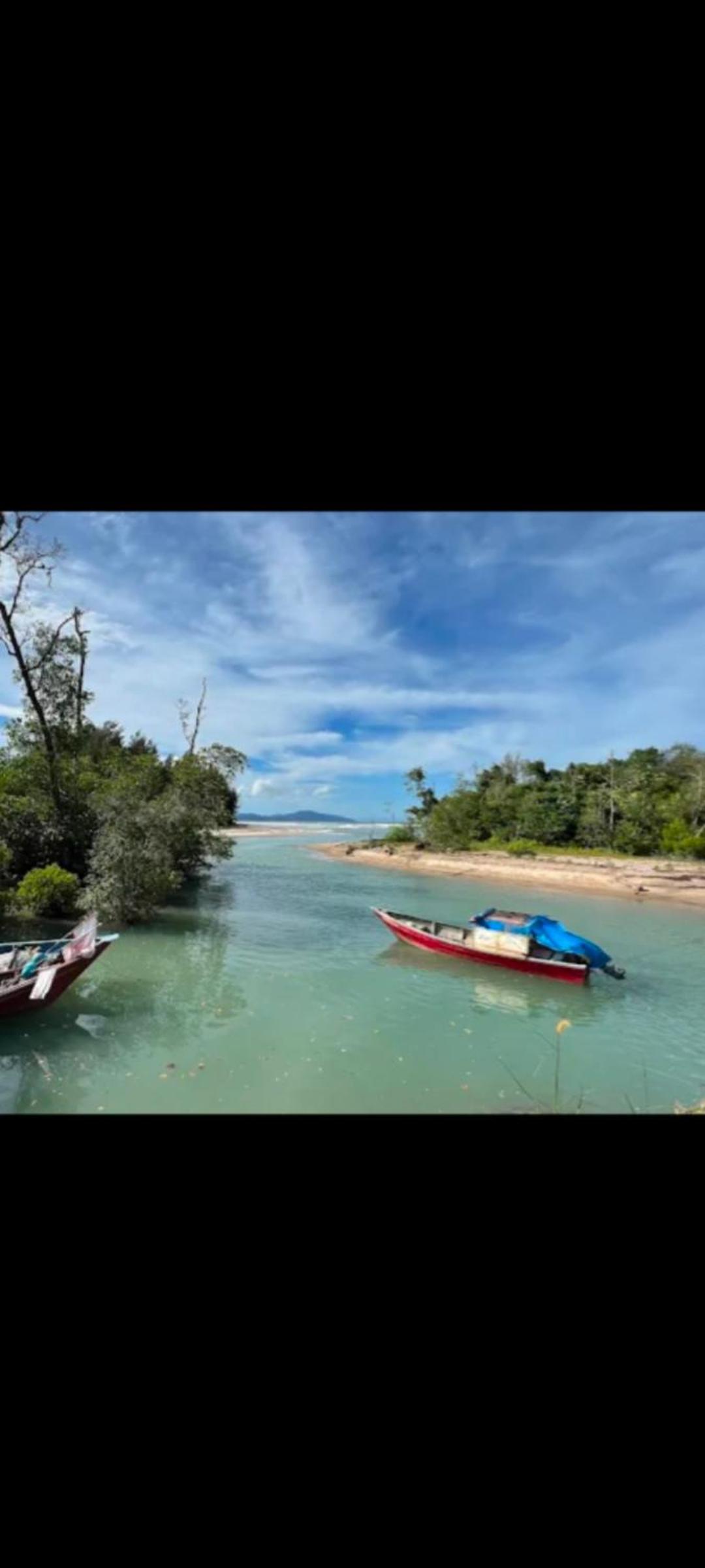 The Mangrove photo 5