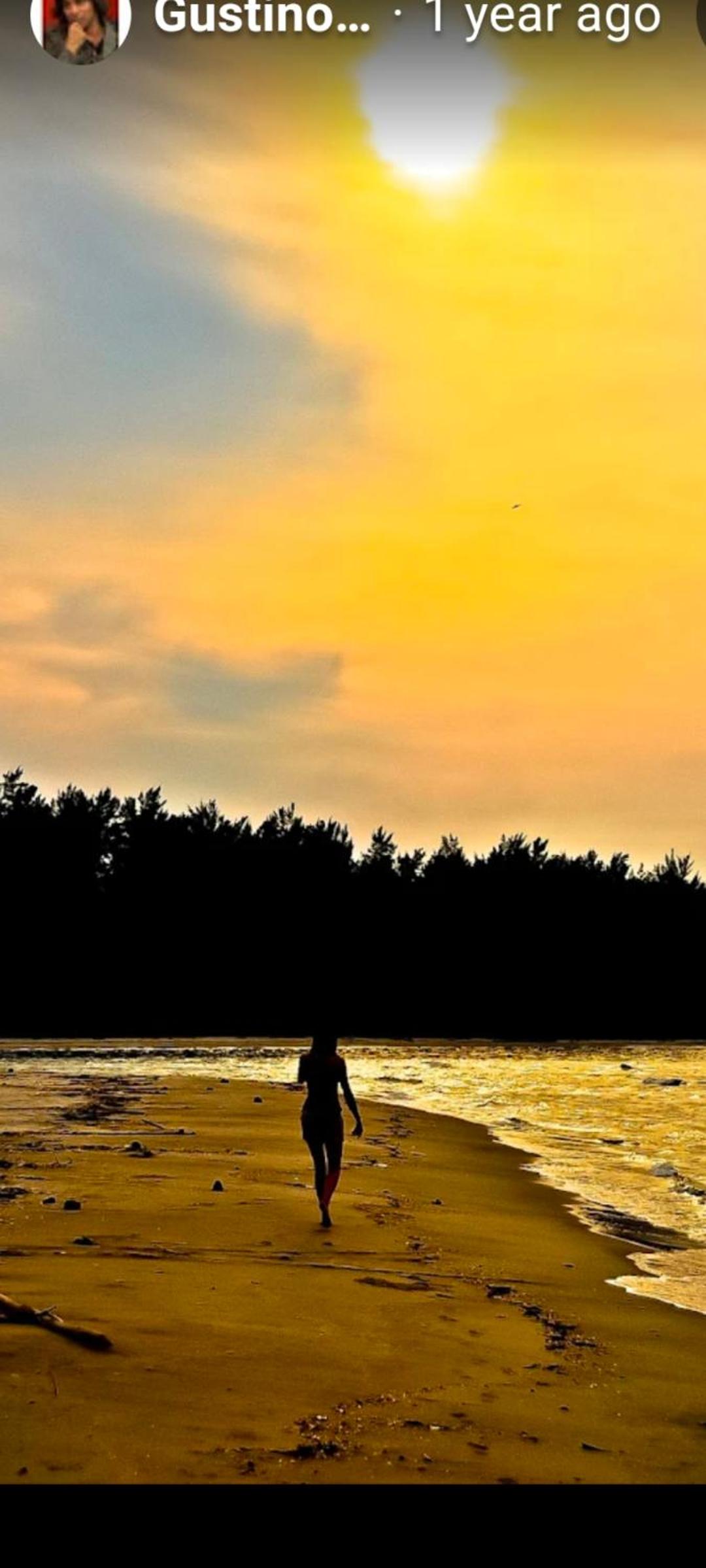 The Mangrove photo 7
