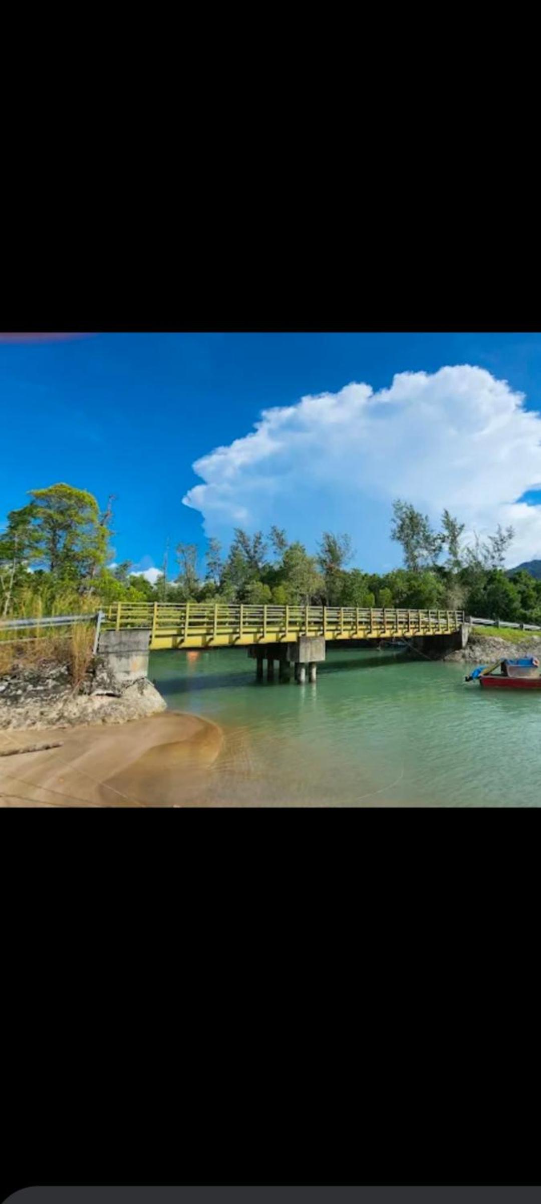 The Mangrove photo 8