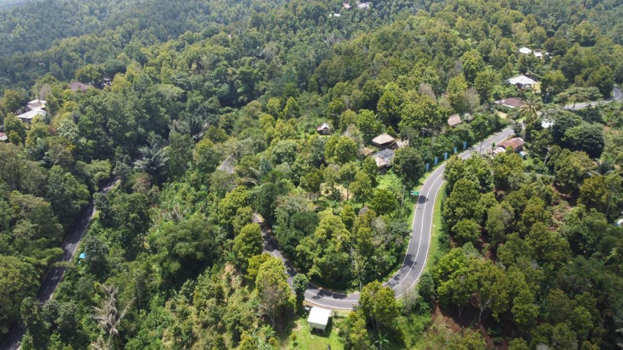 Sang Natha Lodge - Kopi Tiam & Agro view 3