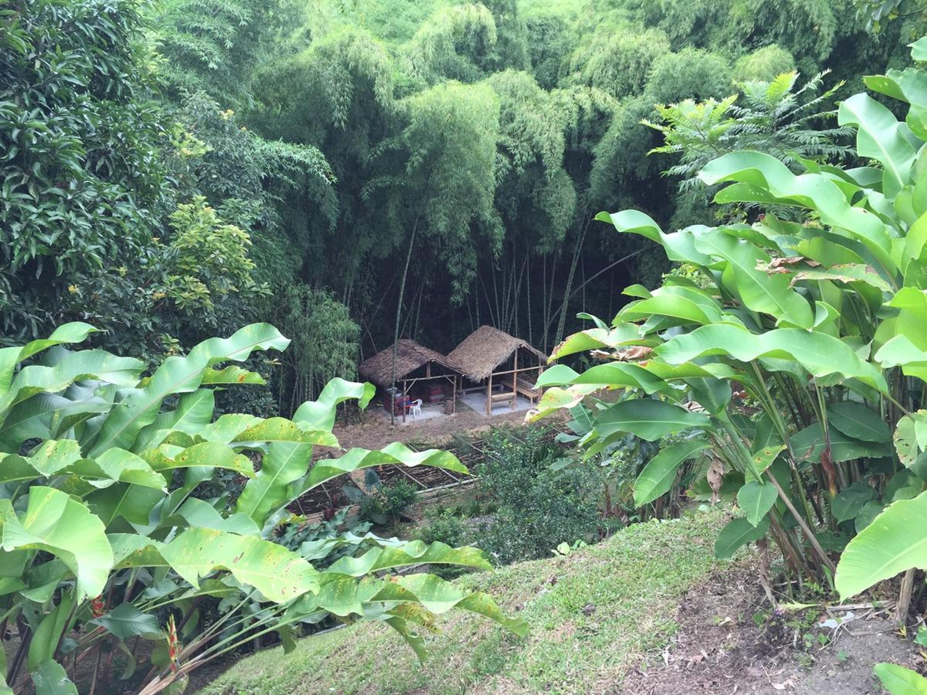 Finca El Sueño De Mi Abuelo
