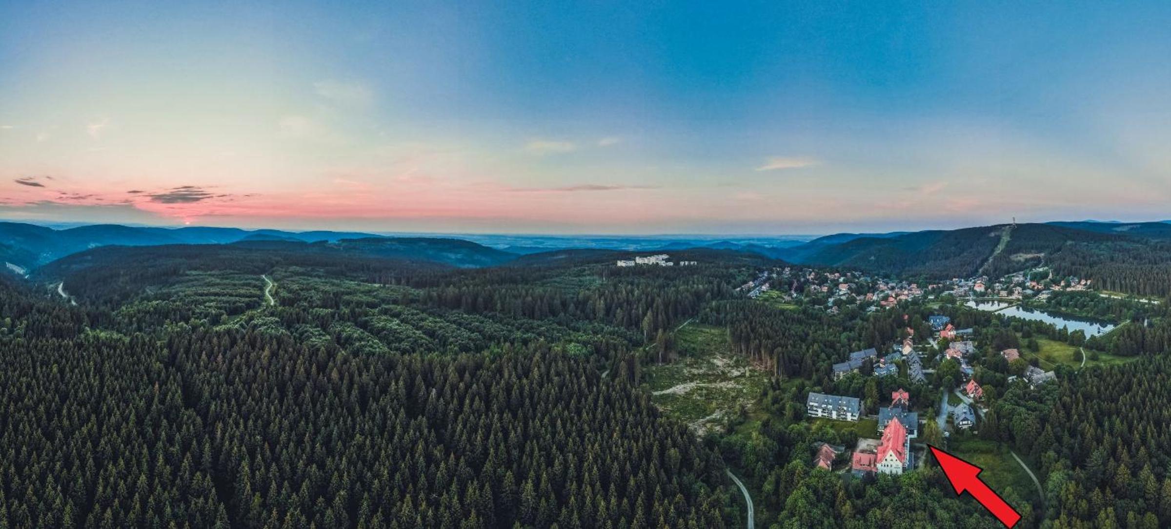 Berg-Klee