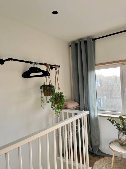 Tiny House in center Aalsmeer I Close to Schiphol & Amsterdam view 4