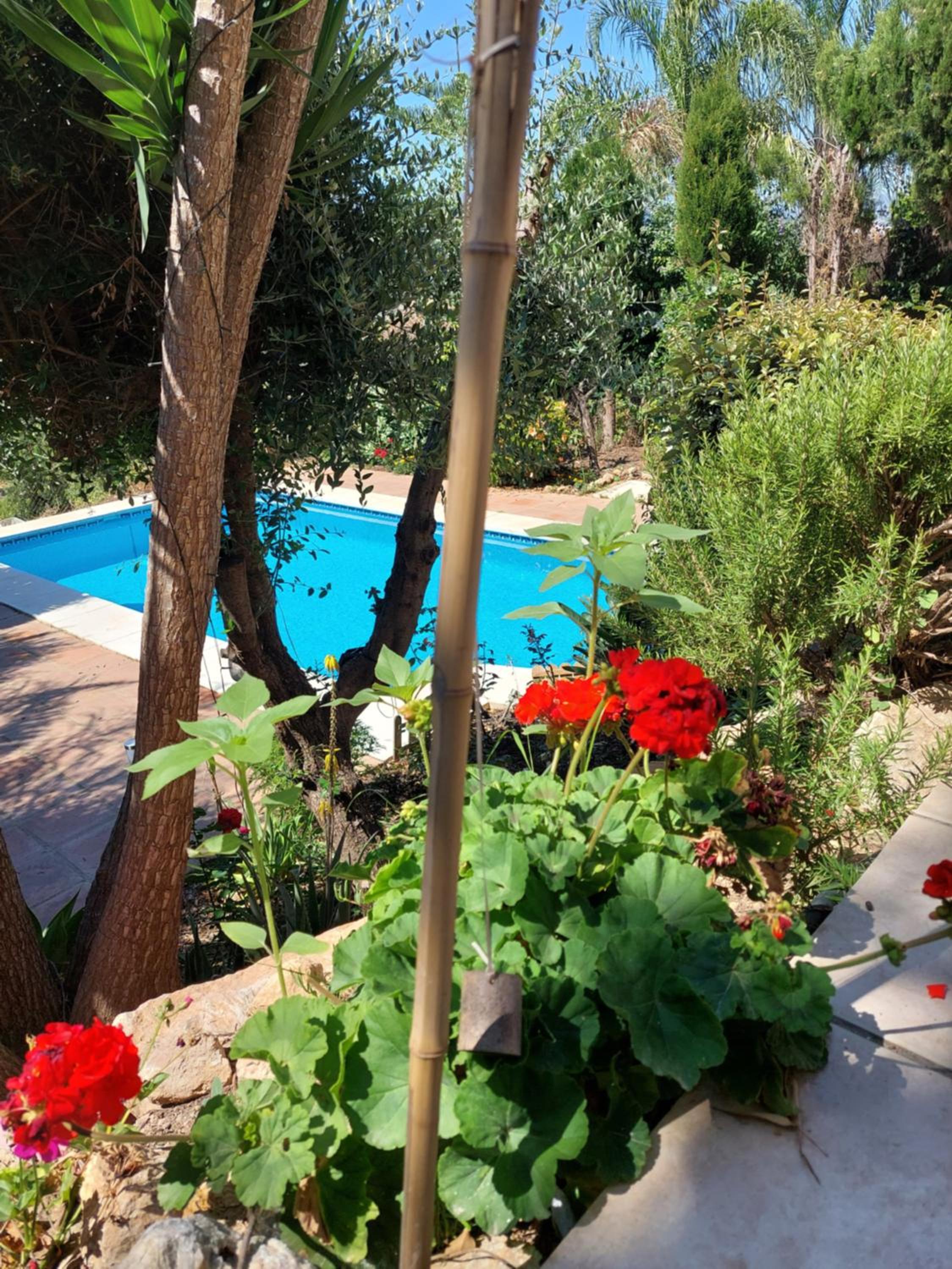 Casa Sunflower
