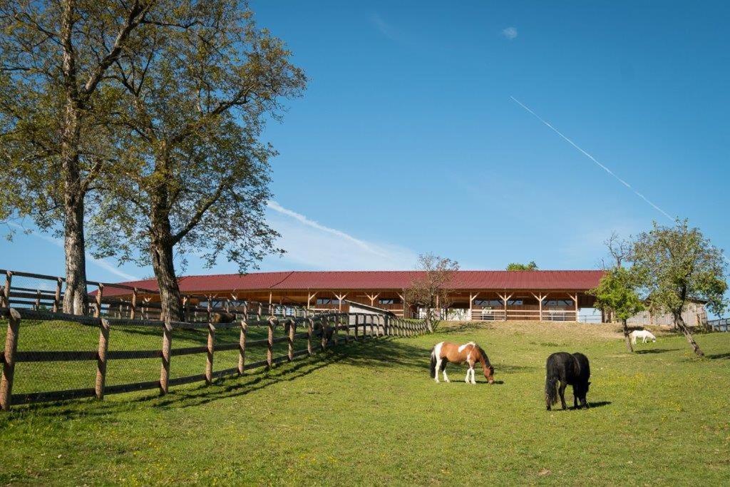 Esperanzahof