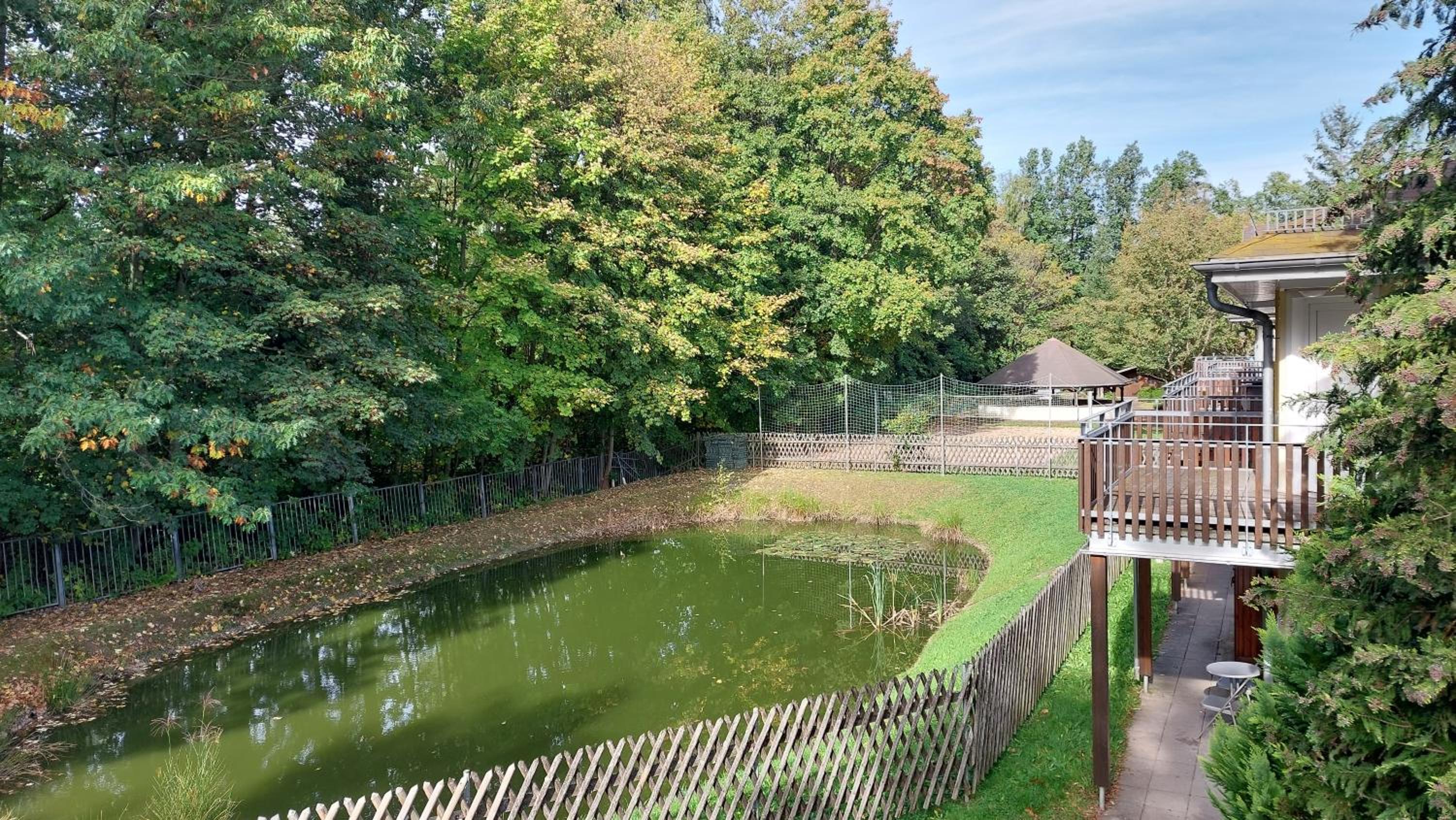 Ferienwohnung Teichblick