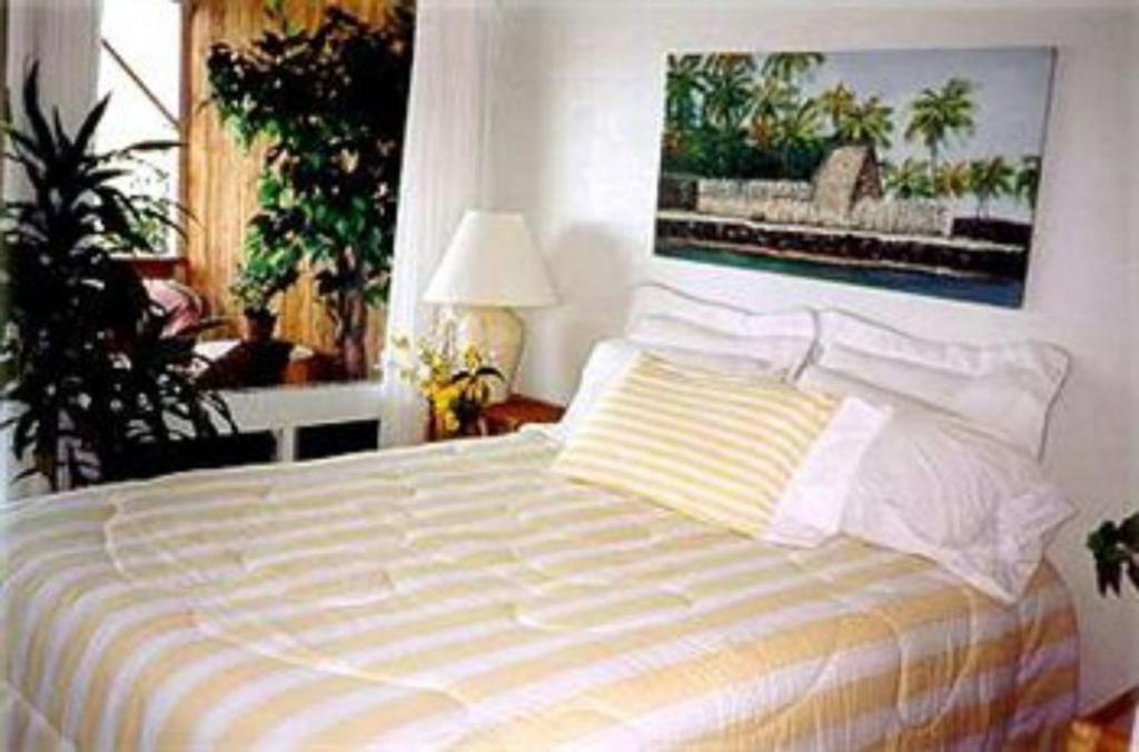 Hale-Hoola B & B view 3