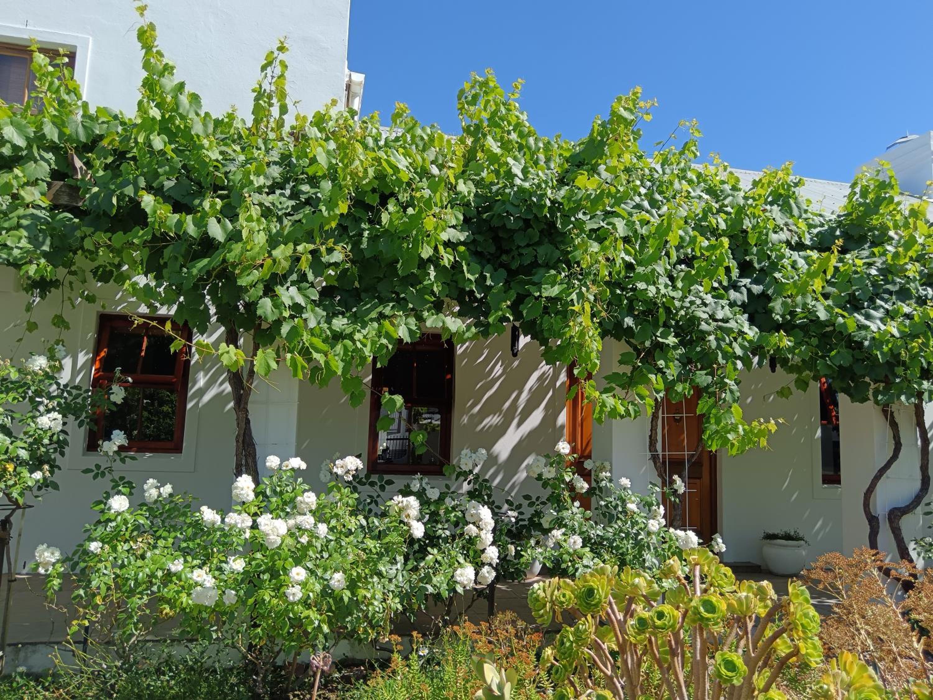 d'Vine Maison
