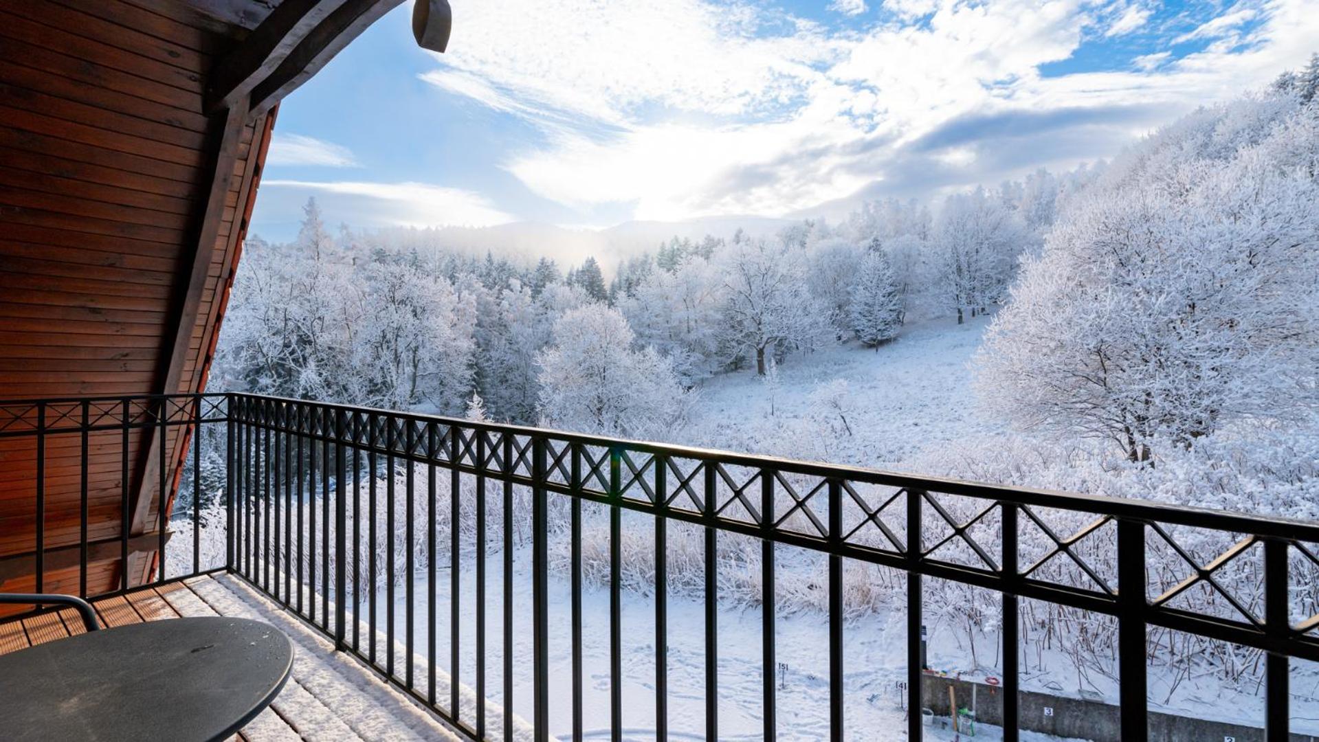 Wonder Home - Apartamenty Karkonosz blisko wyciągów narciarskich, szlaków i restauracji