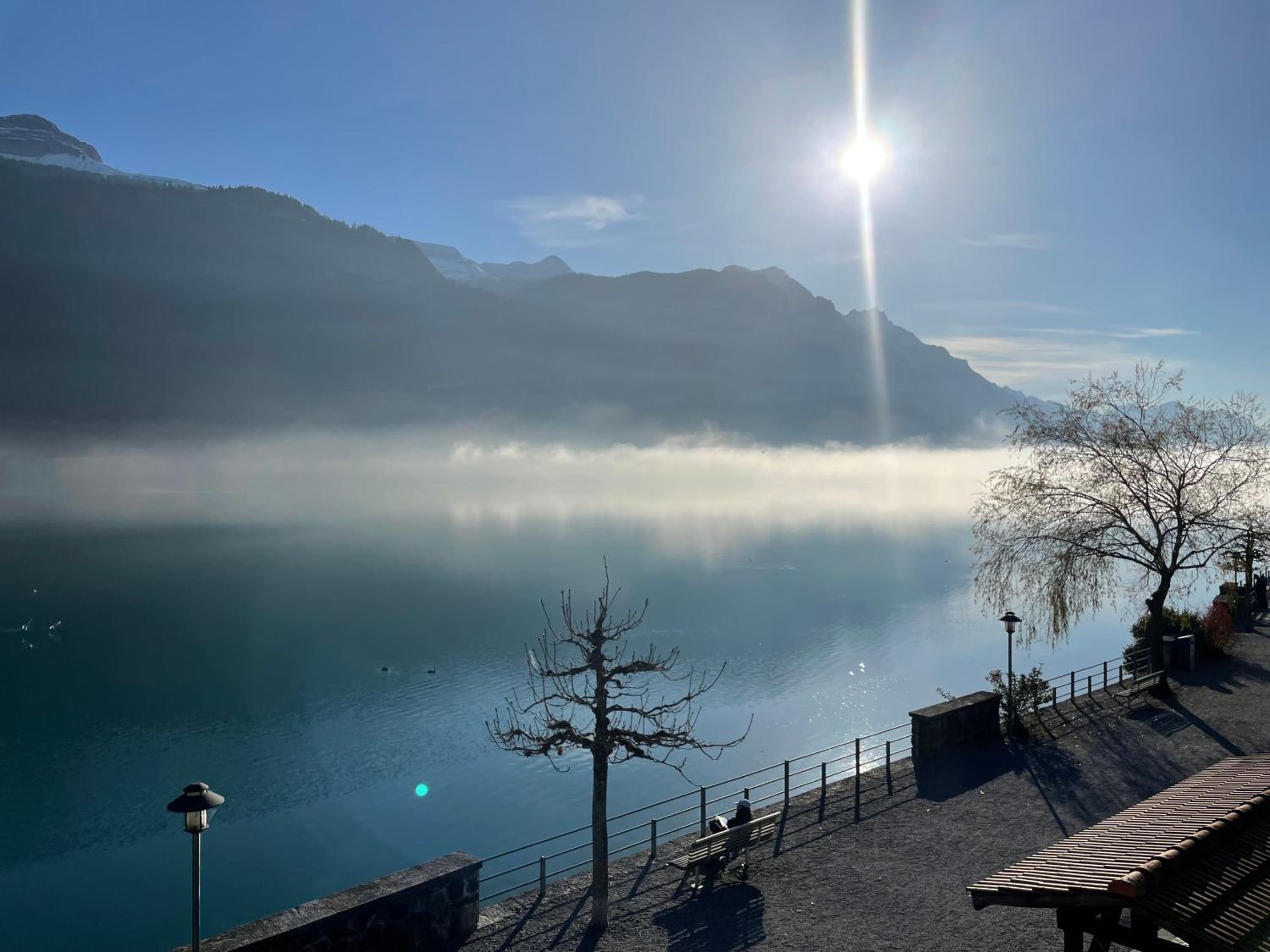 Romantic Lake & Mountain apartment Pure Swissness