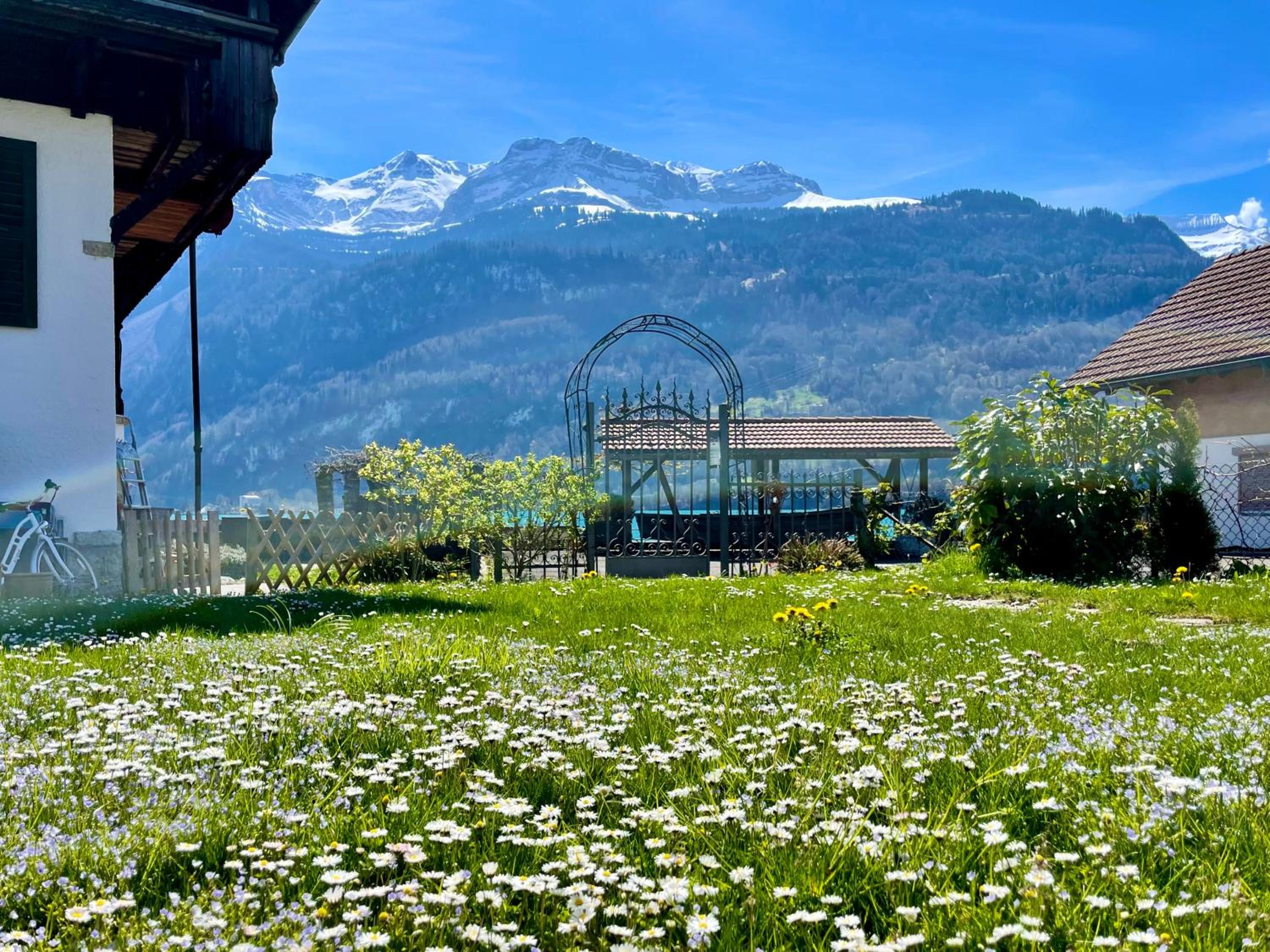 Romantic Lake & Mountain apartment Pure Swissness