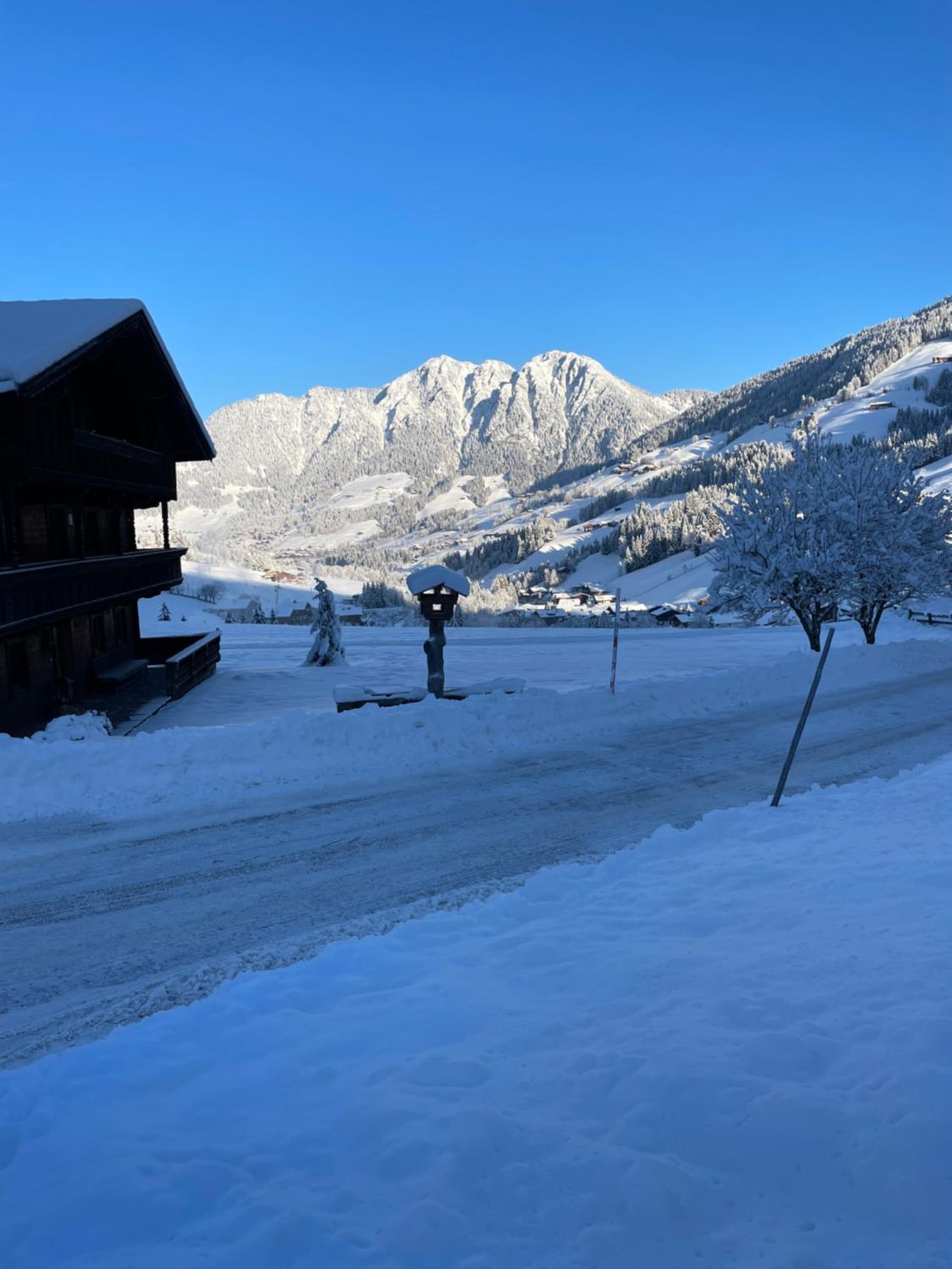 Apartment Alpbachtraum